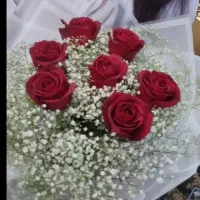 فضای باز جشن عقدتولد بارداری تعیین جنسیت تشریفات