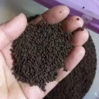 چای کله مورچه ای درجه یگ