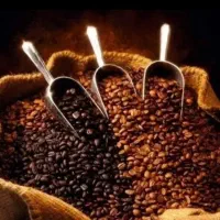 فروش عمده قهوه وپودریجات قیمت کارخانه