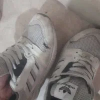 برزنتی اورجینال