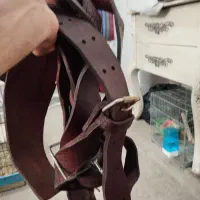هیکلی علامت کشی