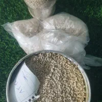 بذر گوجه دستی رقم های ۸۳۲۰ ،بروبیا و...