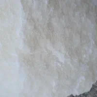 گل نمک