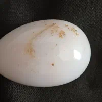 سنگ بسیار زیبا با قیمت توافقی