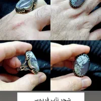 شجر ناب فردوس