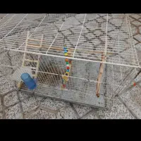 قفس ۶۰ سانتی کف گالوانیزه