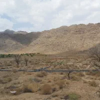 زمین سونیج فروش یا معاوضه