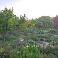 باغ ۷۰۰ متری در روستای سرسبز گل‌آباد