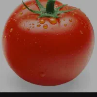 دستگاه آب گوجه گیری سیار بدون نیاز ب برق خانگی