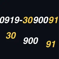 0919-30-900-91