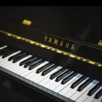 آموزش موسیقی با قیمت مناسب