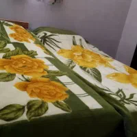 سوییت-اجاره-ای
