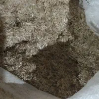 سی و پنج خلال کاه گندم امسالی زابل