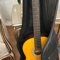 گیتار c70 برگمولر آلمانی
