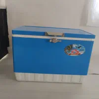 یخچال مسافرتی