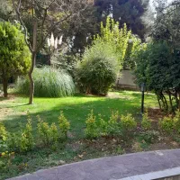 تخت طاوس ۱۸۵ متر بر اصلی به قیمت رسیده