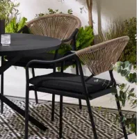 استاد کار حرفه ای میز و صندلی