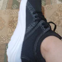 کتانی پوما