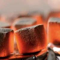 زغال پوست پسته(نارگیل) - سپهدار