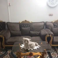 مبل|مبلمان خانگی و میز عسلی|تاکستان, |دیوار