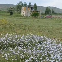 باغ زنجان گوزلدره
