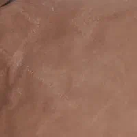 موکت