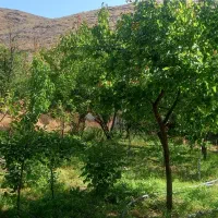 باغ درحصار گلستان(مایان)