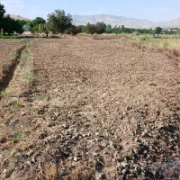 زمین-کشاورزی-قلیان
