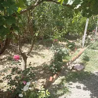 باغ-ویلایی-شهاب-شهر-فیروز-بهرام