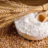 گندم و آرد (گندم امید)  به شرط پخت