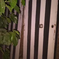 درب حیاط ماشین رو