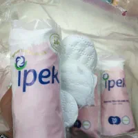 پد سکه ای ایپک