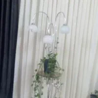 آباژور