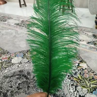 پر محرمی سبز برای تعزیه خوانی و ماشین