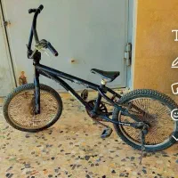دوچرخه 20رالی ویوا