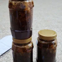 دو کیلو عسل دار درجه یک