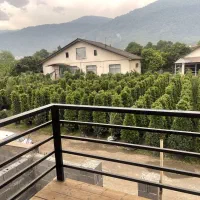 کلبه-سوئیسی-بسیار-زیبا