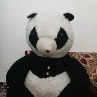 خرس پاندا