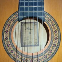 گیتار پارسی مدل M2