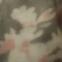 خط تلفن ثابت