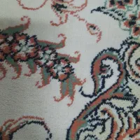 فزش|فرش|بندر انزلی, ساحل قو|دیوار
