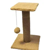 اسکرچر و درخت گربه
