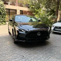 Mg gt