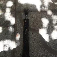 جک فرمان وکمک فنر پژو فرانتک