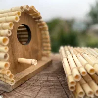 لانه چوبی عروس هلندی و فنج گلدین