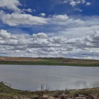 سیم کارت رند