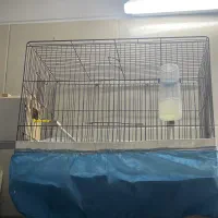 تعدادی قفس پرنده