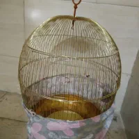 قفس پرنده