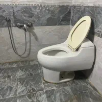 توالت‌فرنگی برند‌چینی کرد