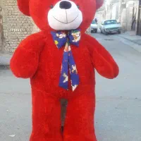 فروش خرس پولیشی بزرگ